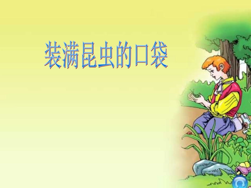 装满昆虫的口袋 (2)_第1页