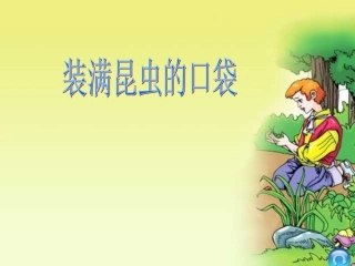装满昆虫的口袋 (2)