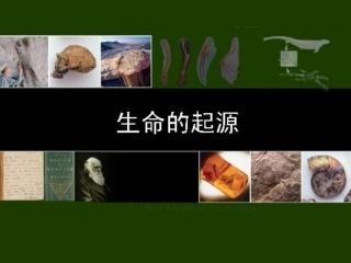 地球生命起源