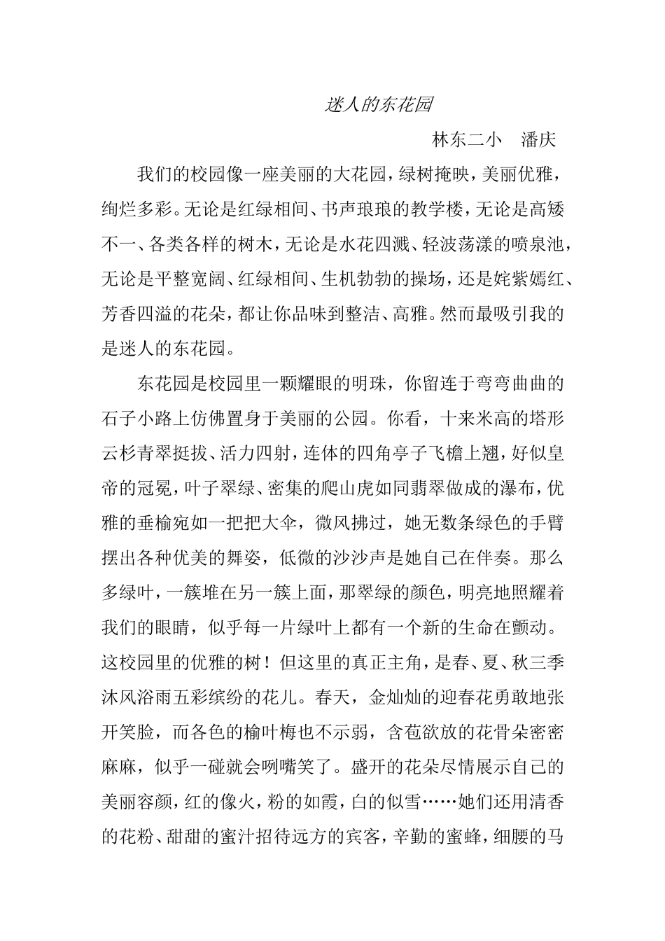 迷人的东花园_第1页