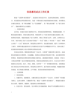 信息惠民试点工作汇报