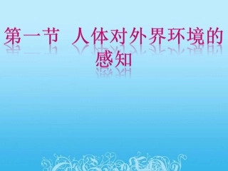 《人体对外界环境的感知》PPT课件