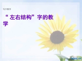 小学写字课《左右结构》