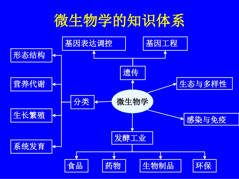生物竞赛课辅导微生物学部分_第2页
