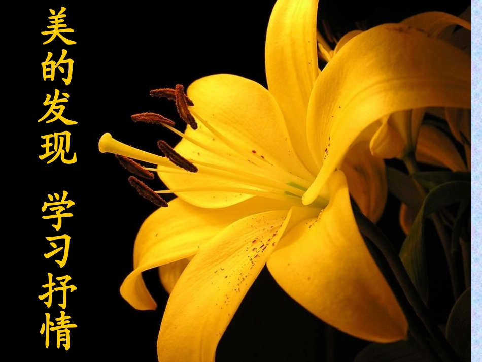 美的发现_学习抒情_第1页