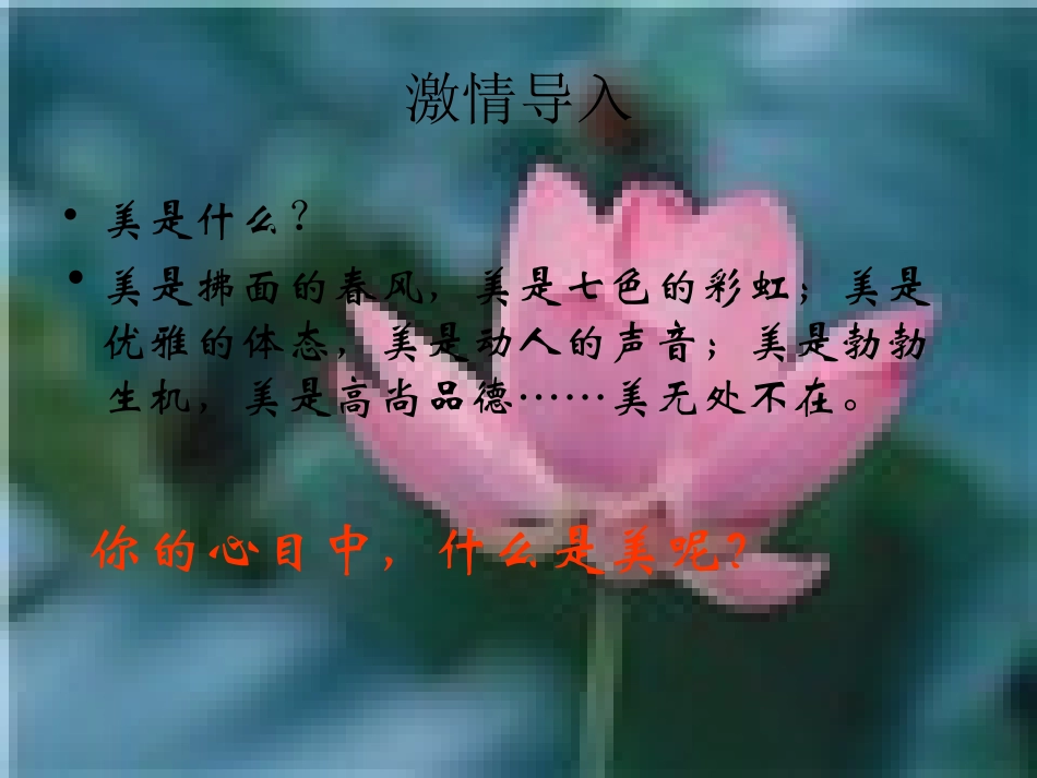 美的发现_学习抒情_第2页