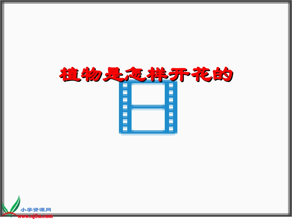 (教科版)三年级科学下册课件_开花了_结果了_第3页