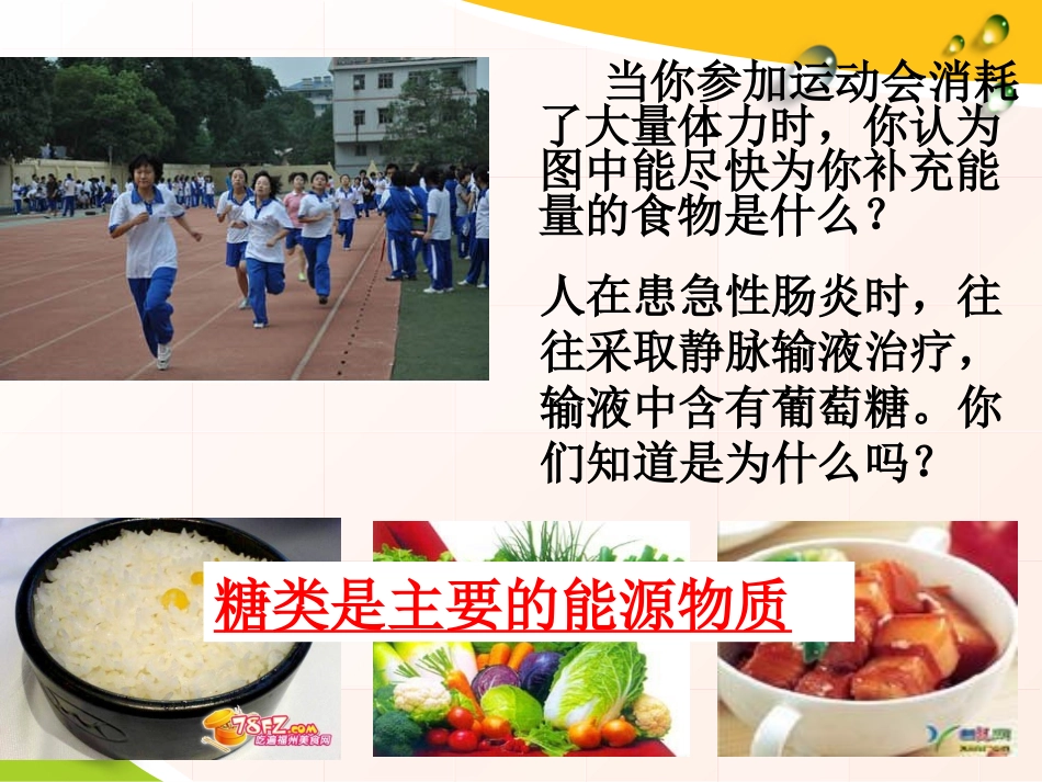 细胞中的糖类和脂质_第2页