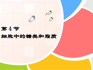 细胞中的糖类和脂质