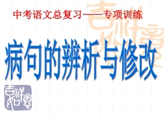 中考总复习——专项训练（病句）