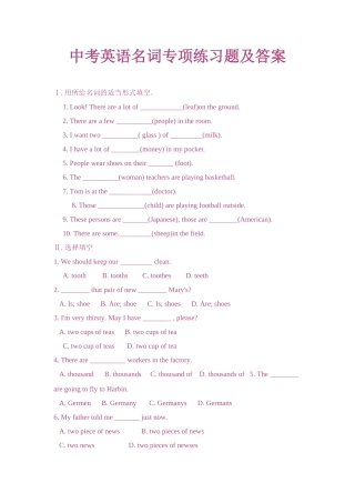中考英语名词专项练习题及答案