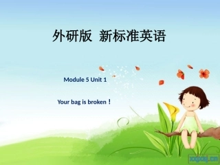 外研版_新标准英语(Module5_Unit_1_You_bag_is_broken!_