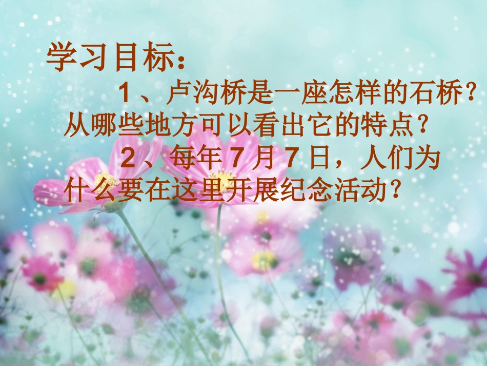 奶糖的卢沟桥_第2页