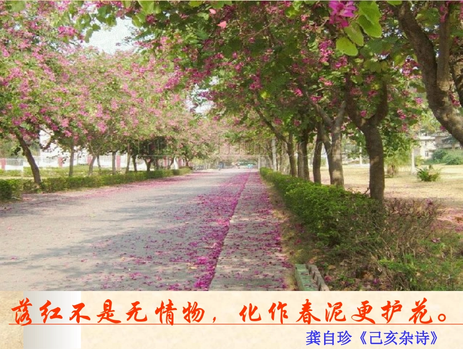 中考古诗词复习（默写）--了解题型特点掌握解题方法课件_第2页