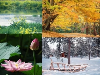 中考古诗词复习（默写）--了解题型特点掌握解题方法课件