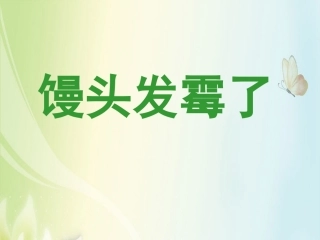 馒头发霉了课件