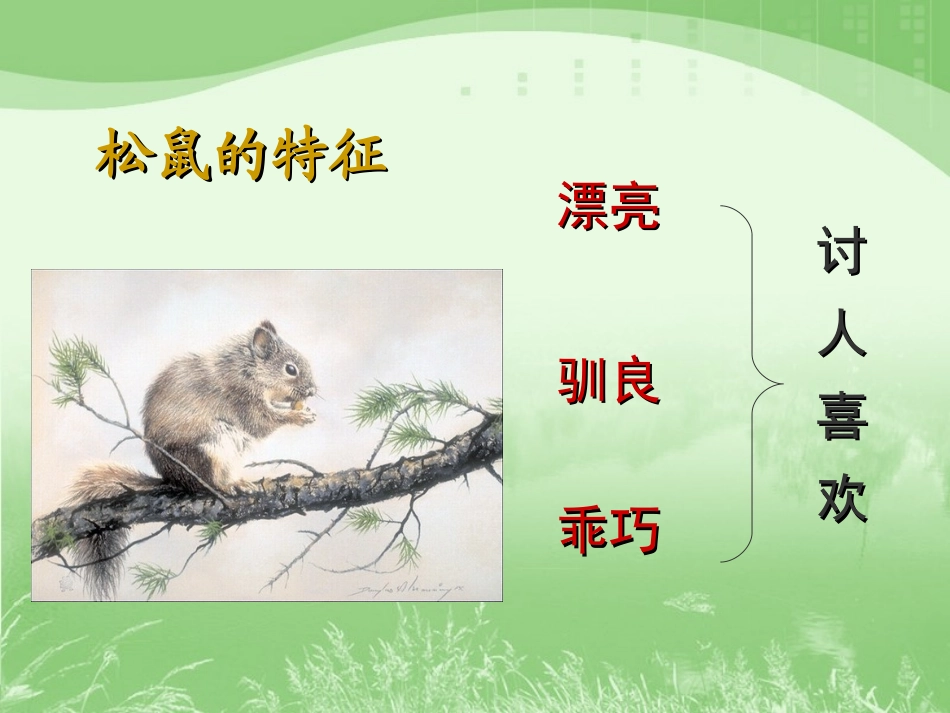 《松鼠》教学演示课件七年级下_第3页
