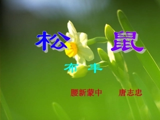 《松鼠》教学演示课件七年级下