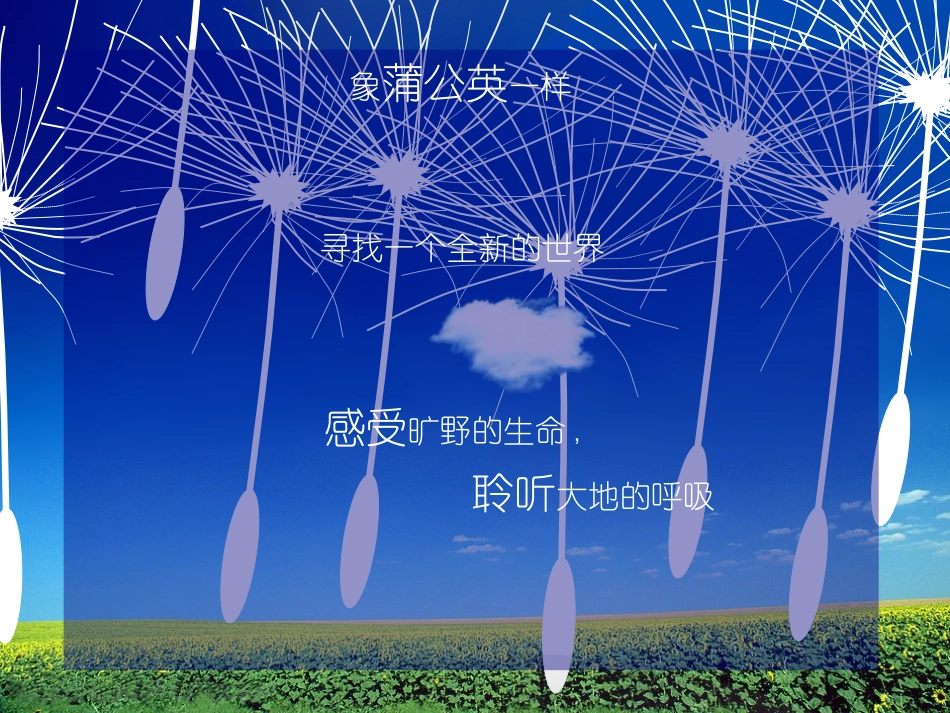 天好作品之一丨蒲公英_第3页