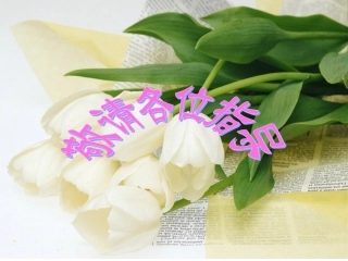 聚焦热点，把脉中考初三中考复习指导课件