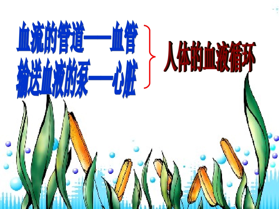 -人体的血液循环_第1页