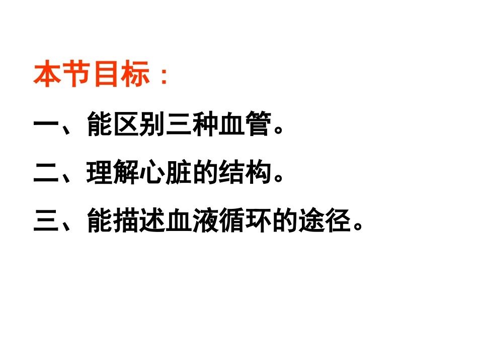 -人体的血液循环_第2页