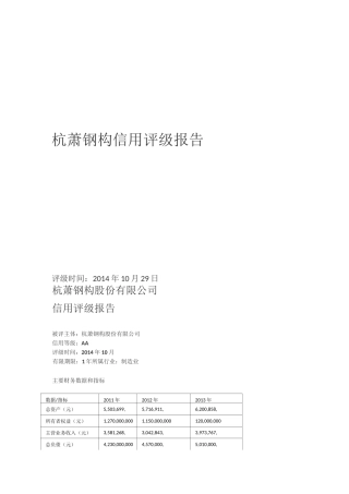 信用评级报告