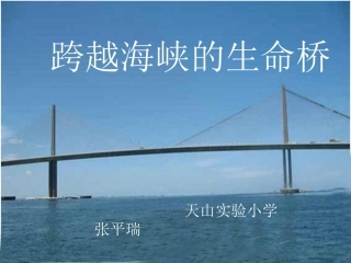 张平瑞跨越海峡的生命桥课件