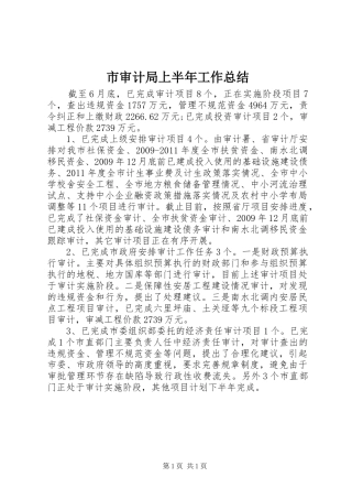 市审计局上半年工作总结 