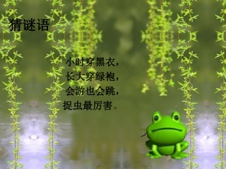 池塘边的叫声