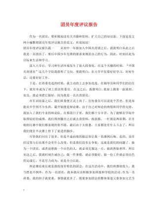团员年度评议报告 