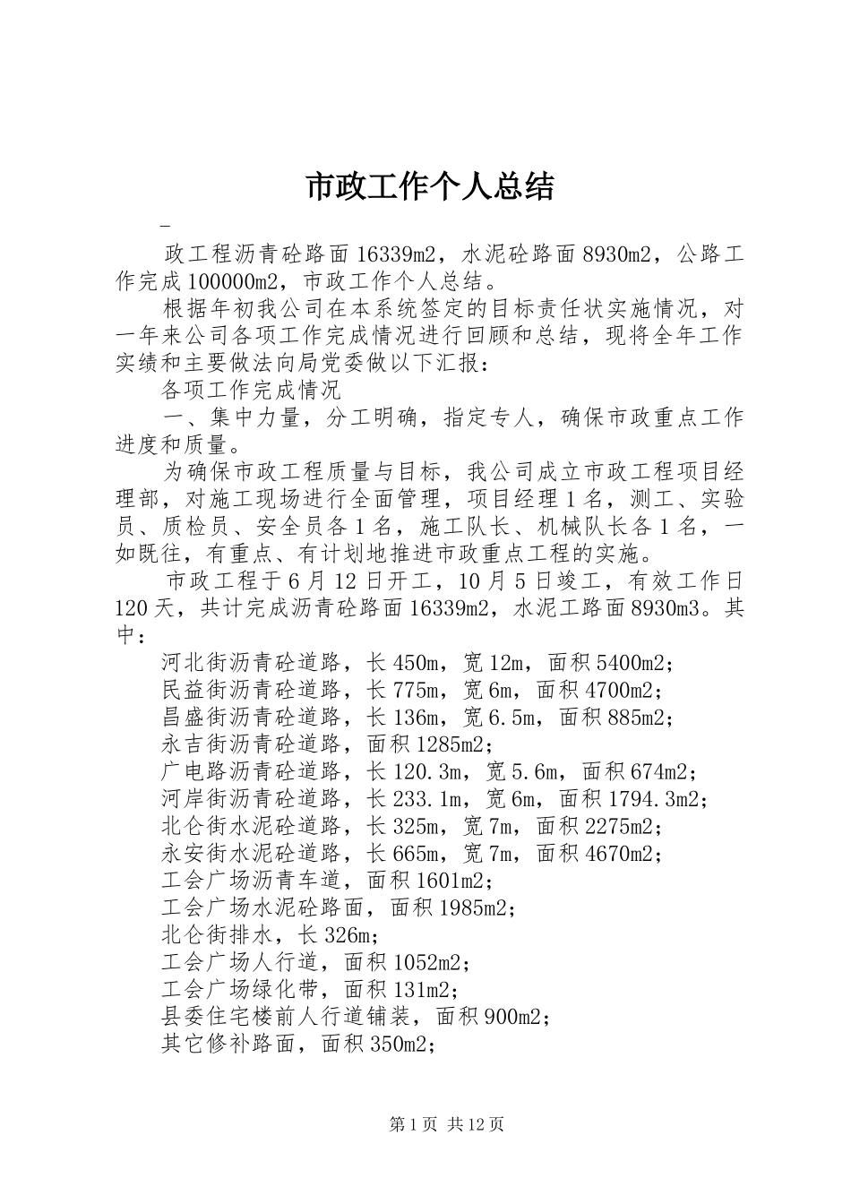 市政工作个人总结 _第1页