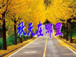 二年级品生《秋天在哪里》课件
