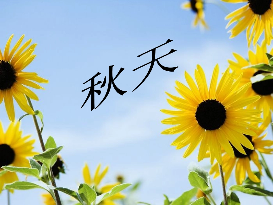 苏教版国标本四年级语文上册《秋天》教学演示课件_第1页