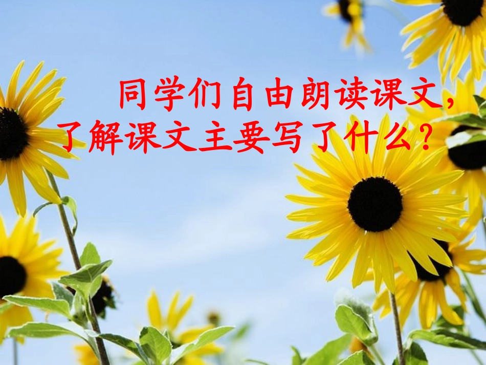 苏教版国标本四年级语文上册《秋天》教学演示课件_第2页