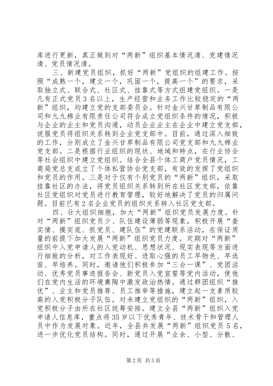 乡镇年终基层组织建设工作总结 _第2页