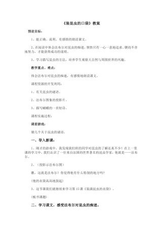 装昆虫的口袋