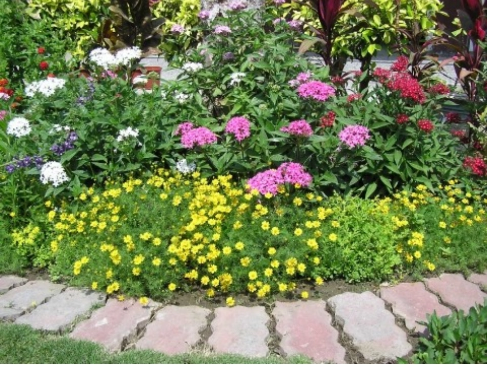 一年级《四季》课件_第1页