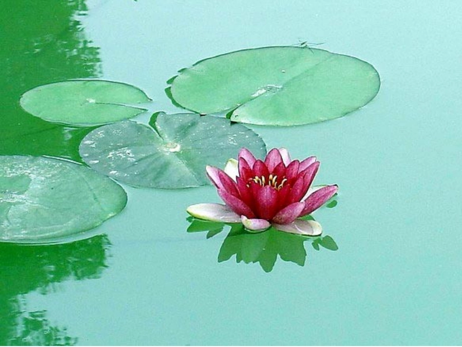 一年级《四季》课件_第2页