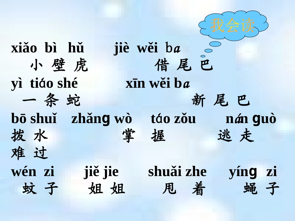 小壁虎借尾巴课件_第3页