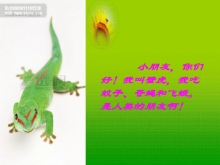 小壁虎借尾巴课件