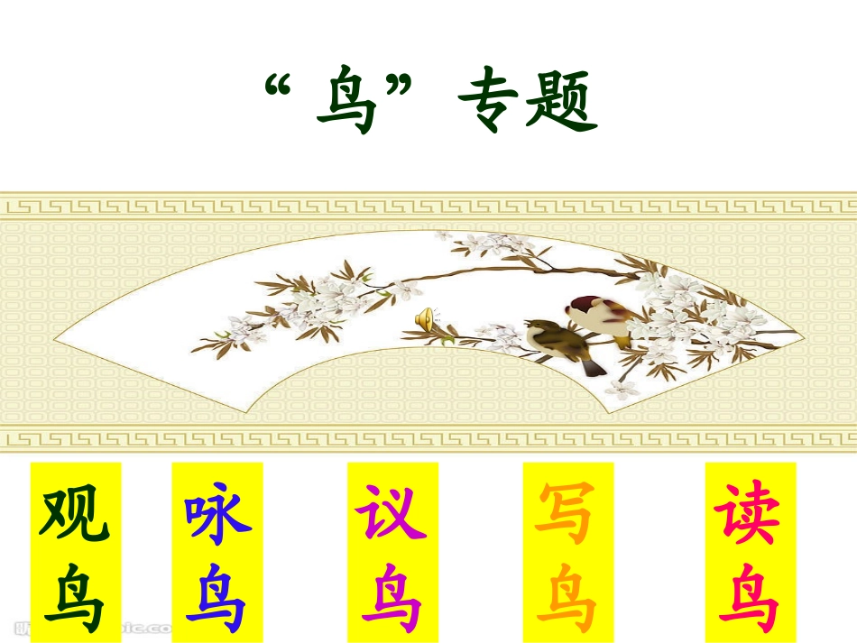 2013精品课件《鸟专题》_第1页