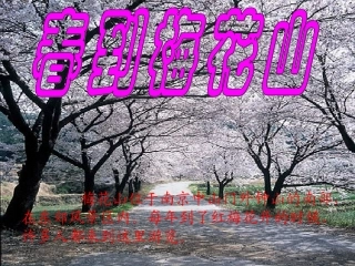 春到梅山花课件
