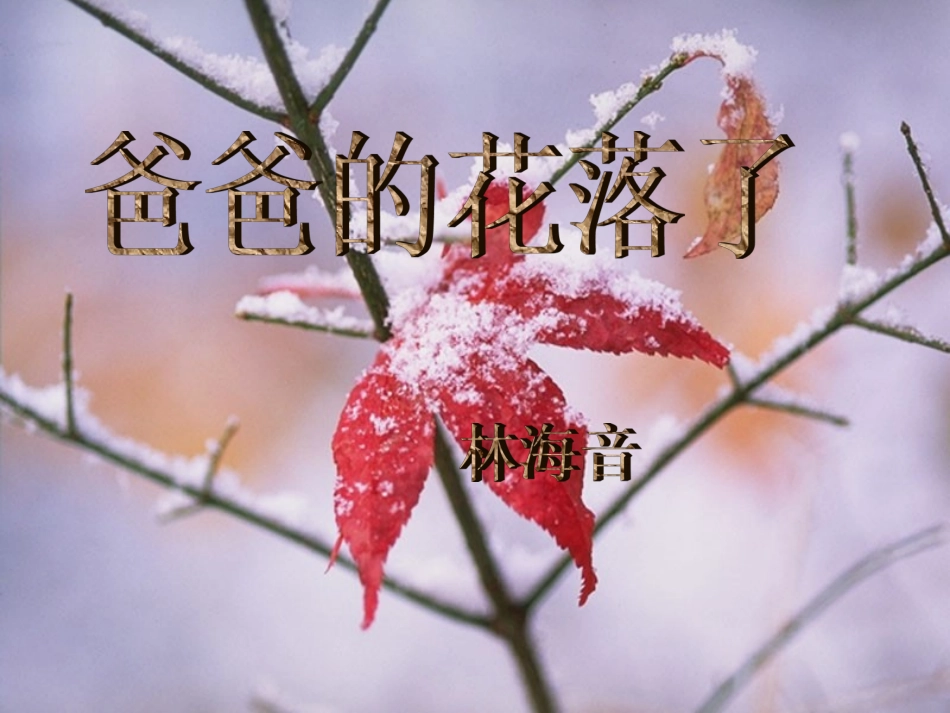《爸爸的花儿落了》课件2_第3页