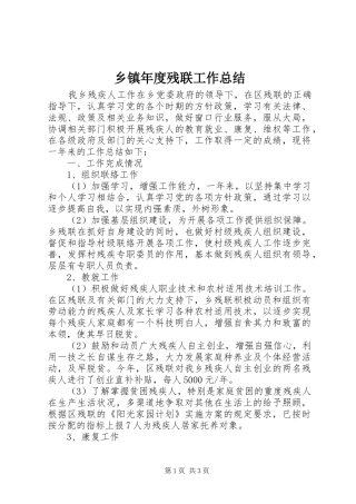 乡镇年度残联工作总结 