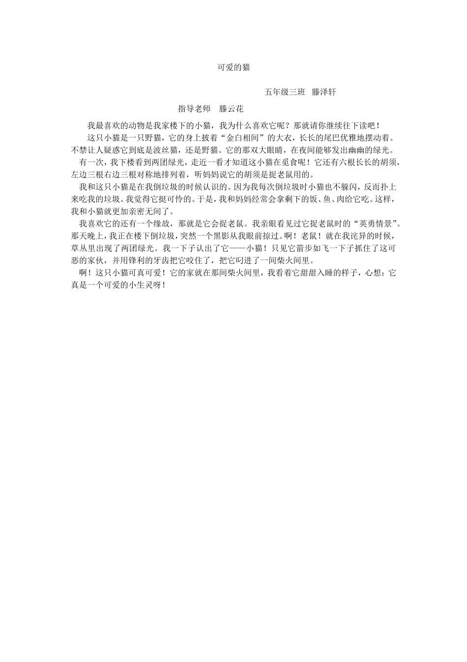 可爱的猫53_第1页