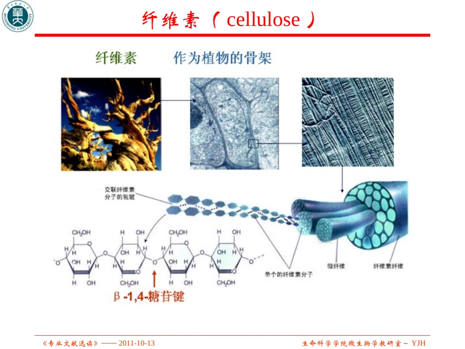 纤维素分解菌的分离_第3页