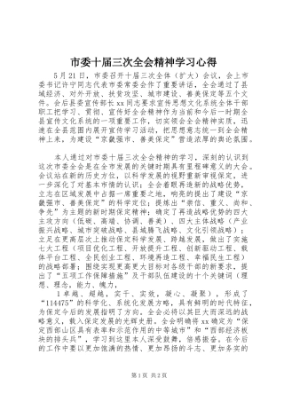 市委十届三次全会精神学习体会