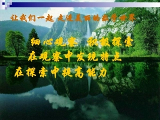 【北师大版】数学：八年级下册第一章等腰三角形1课件