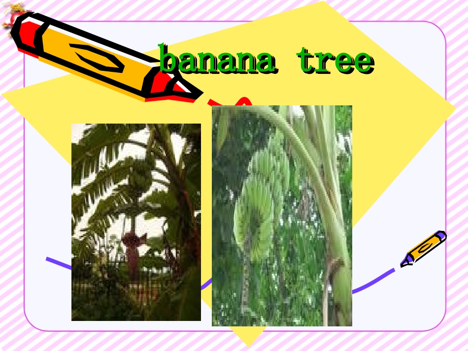 人教版七年级英语上册Unit6第一课时课件_第2页